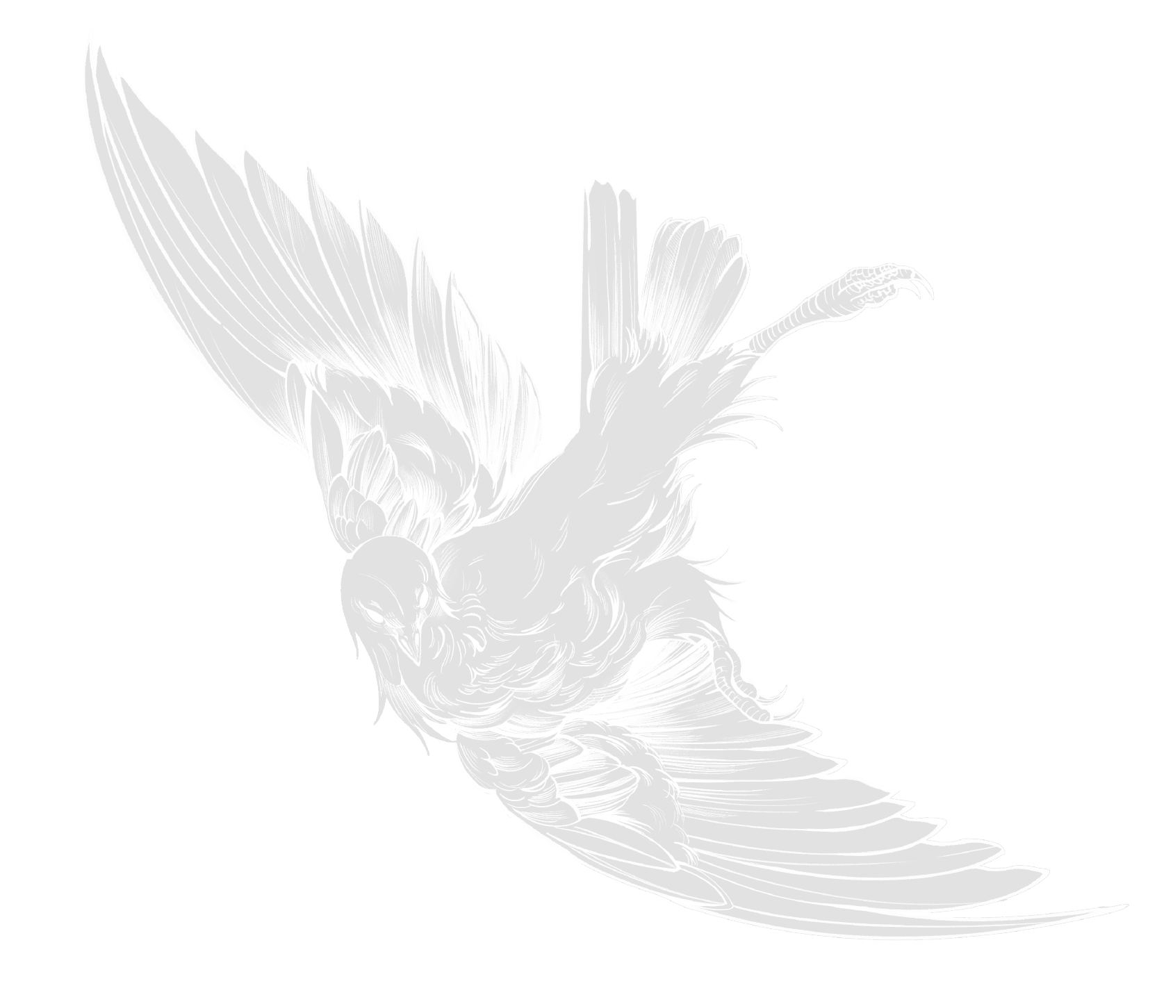 翠翼鳩