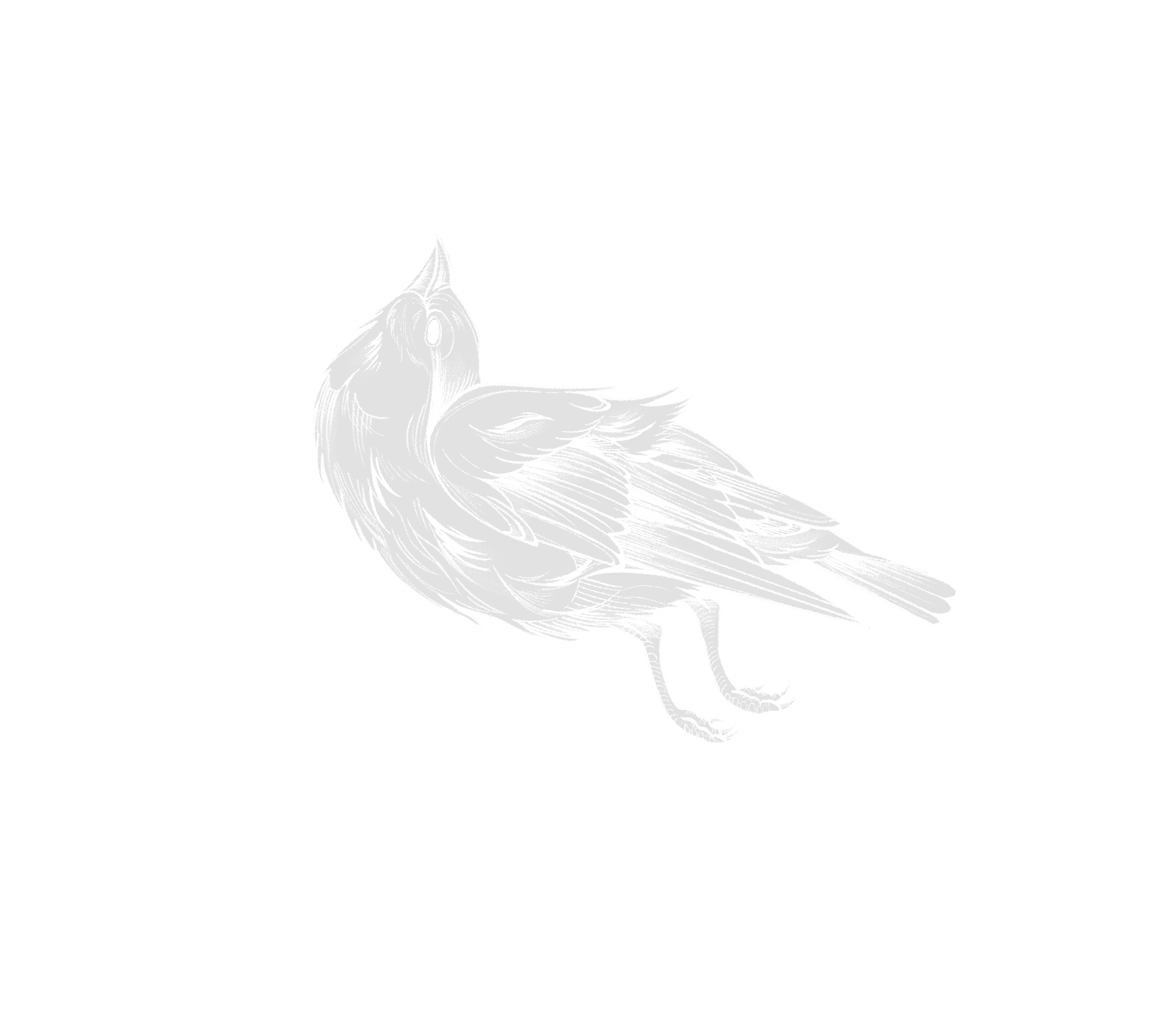 麻雀